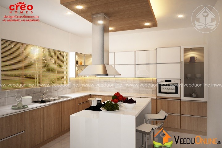 Marvelous Contemporary Budget Home Interior Kitchen Design