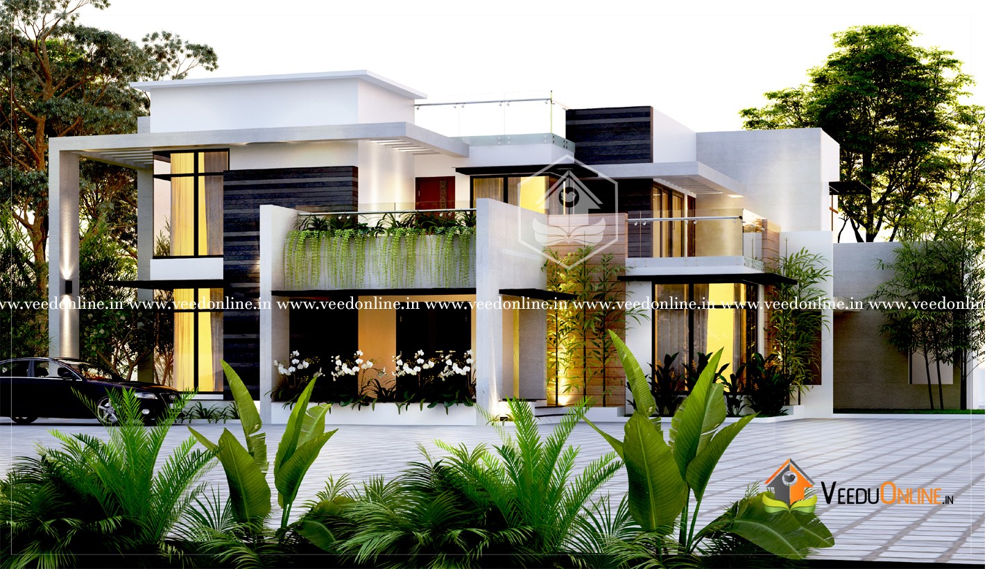 2717 Square Feet Double Floor Contemporary Style Home